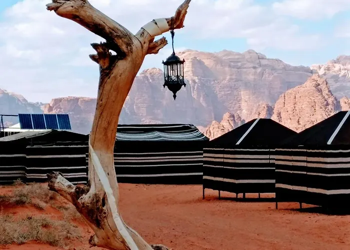 Desert Tree Camp&Tours