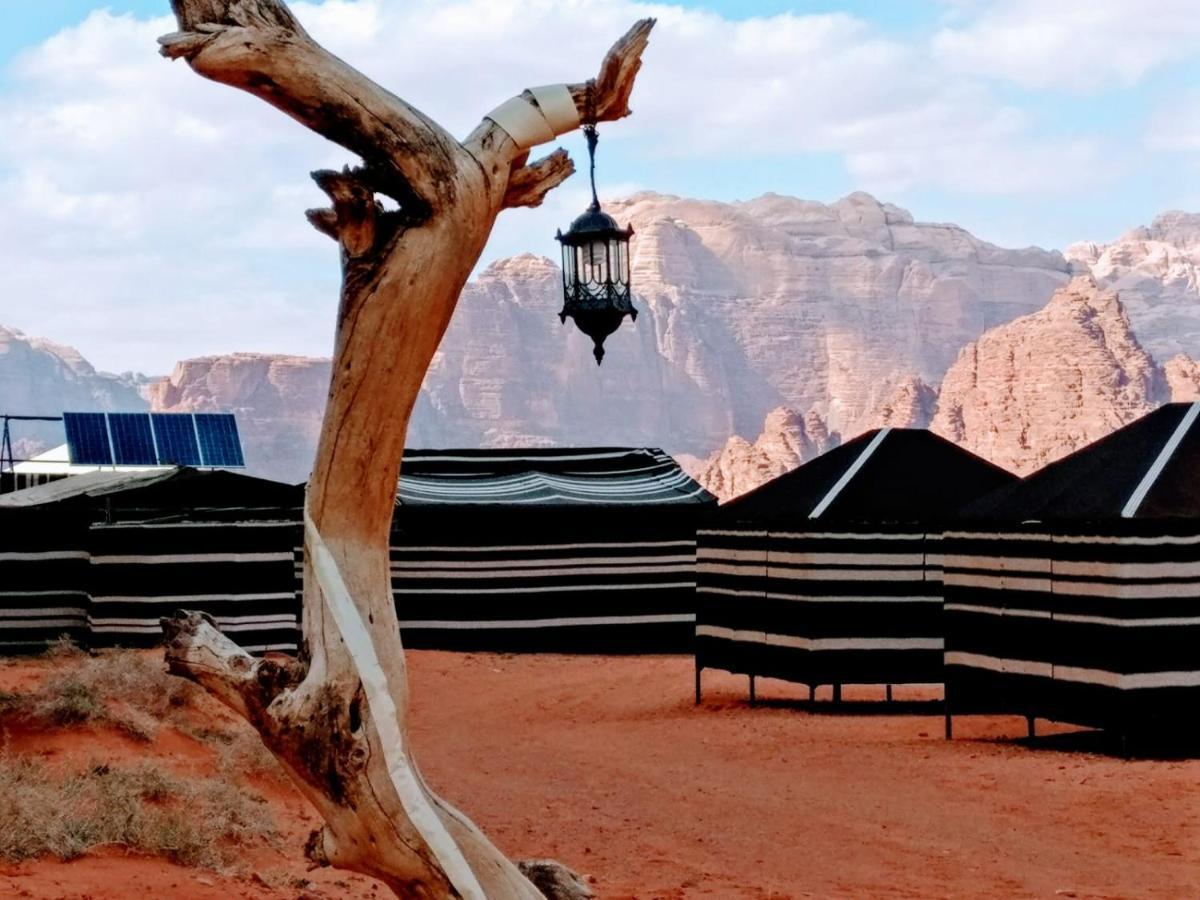 Desert Tree Camp&tours Wadi Rum