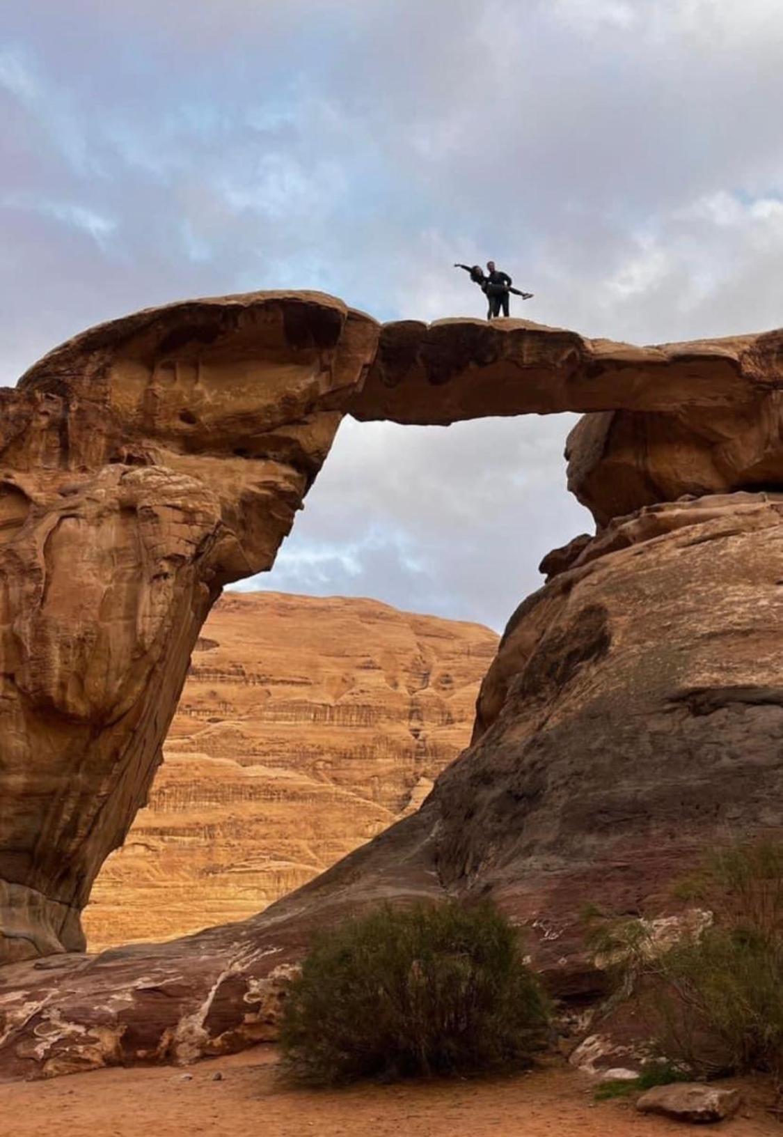 Desert Tree Camp&tours
