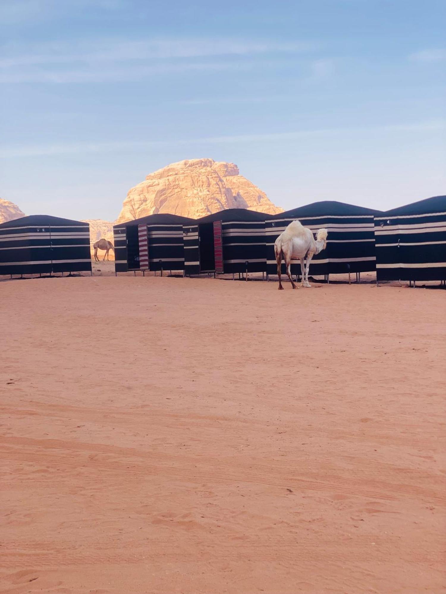Desert Tree Camp&tours Luxe tent Wadi Rum
