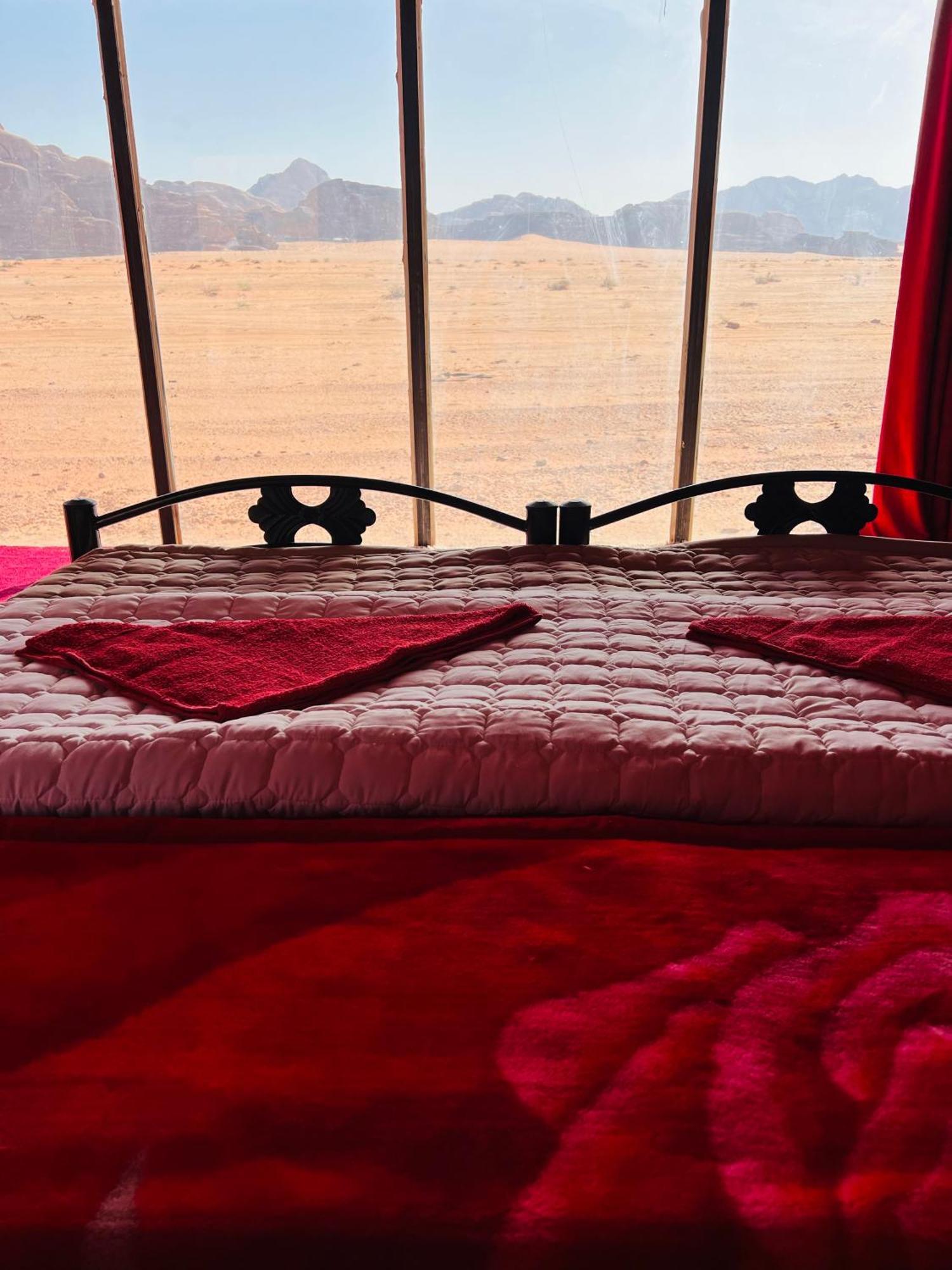 Desert Tree Camp&tours